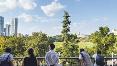 rooftop2.jpg