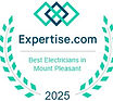 Expertise badge 2025.jpg