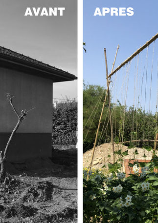 Isolation extérieure, modification des menuiseries, et des volets.