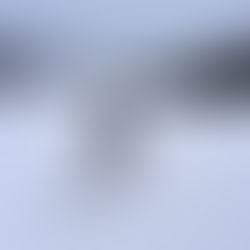 Trace. Advance. Persevere.