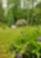 20230605_124352_EDIT.jpg