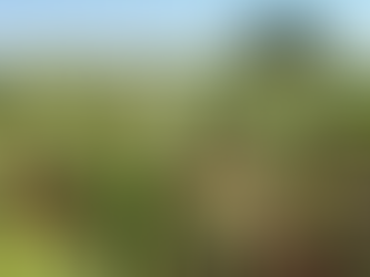 Qual é o principal objetivo do agronegócio?