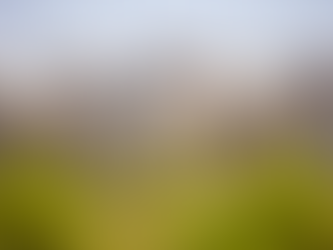 Gestão Eficiente de Fazendas de Corte: Melhores Práticas para Maior Produtividade