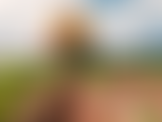 Quais são as principais forças do agronegócio?