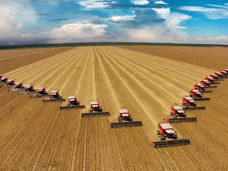 Oportunidades de exportação no mercado do agronegócio