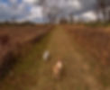 IMG_0244_edited.jpg
