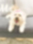 293968961_141007531904613_8249461332804179408_n_edited.jpg
