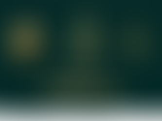 Warm wishes for the holiday season 🎄