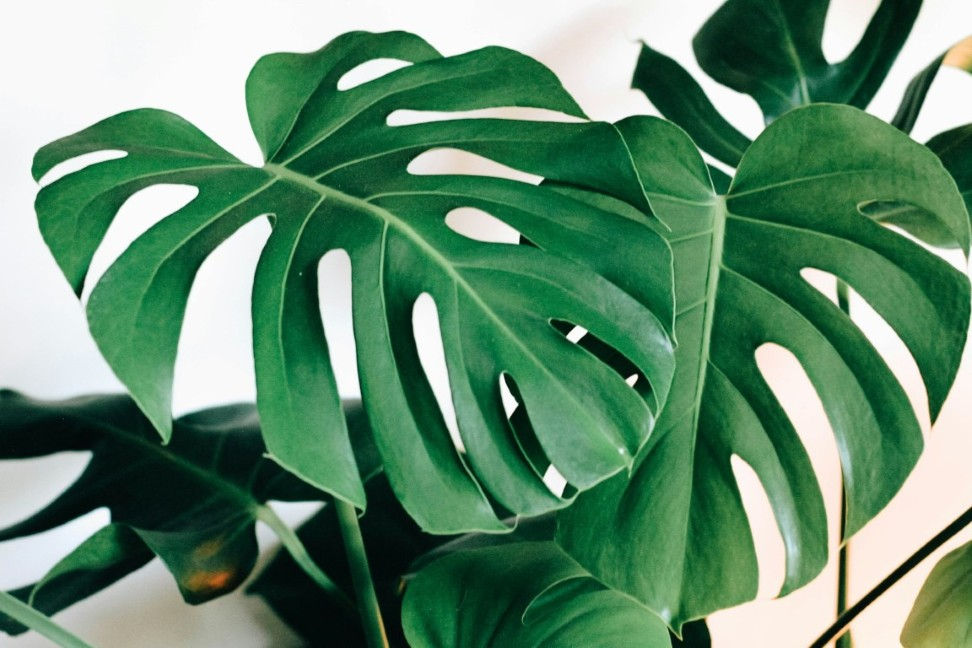 Exploring Biblically Responsible Investing Options