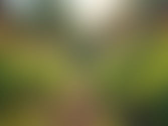 The Importance of Sustainable Living in Today's World