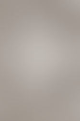 Review: The Ballad Of Buster Scruggs Is A Meandering, Meaningless Collection