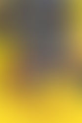 Review: The Good The Bad And The Ugly