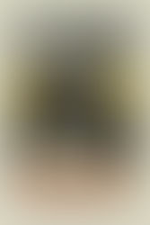 Review: Logan Lucky Is Ocean's 11 With A Southern Twist