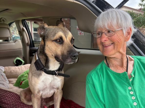 Mr. Boots - Special Edition Newsletter sent