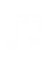 music notes
