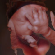 Niña Oliveira_32.JPG