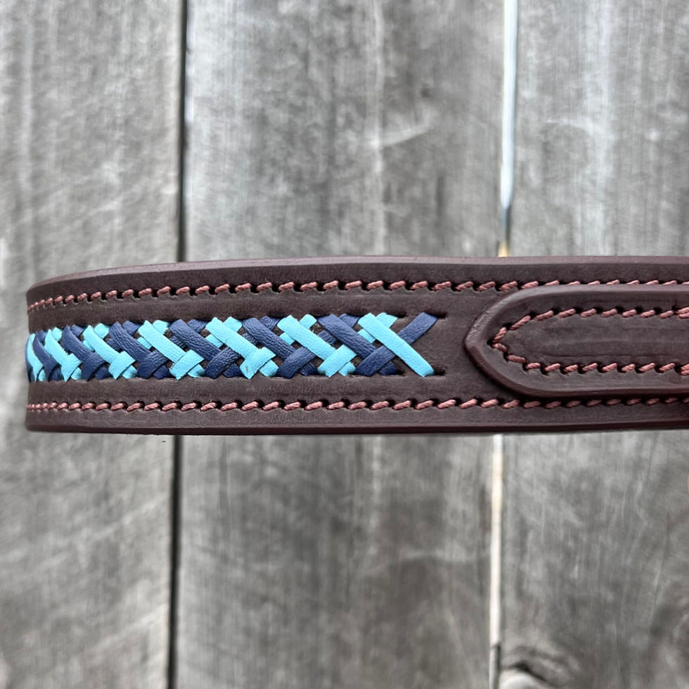 Thumbnail: The "Lacey" Work Bridle