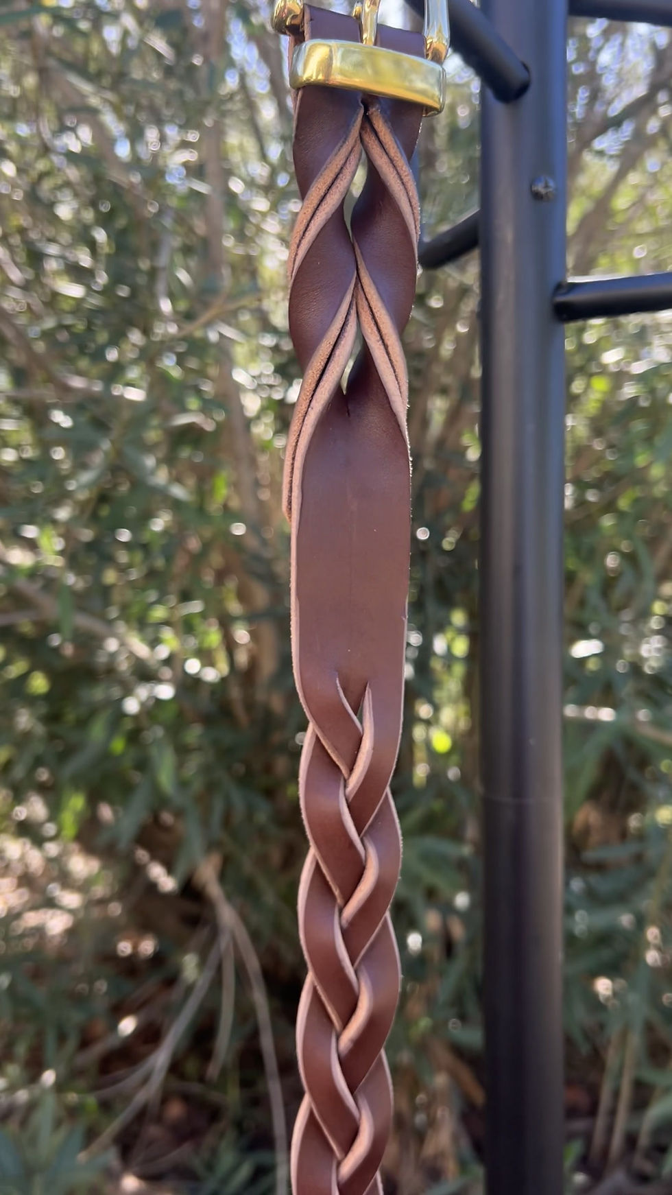 Thumbnail: The JH Belt