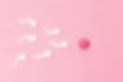 120329760_l.jpg