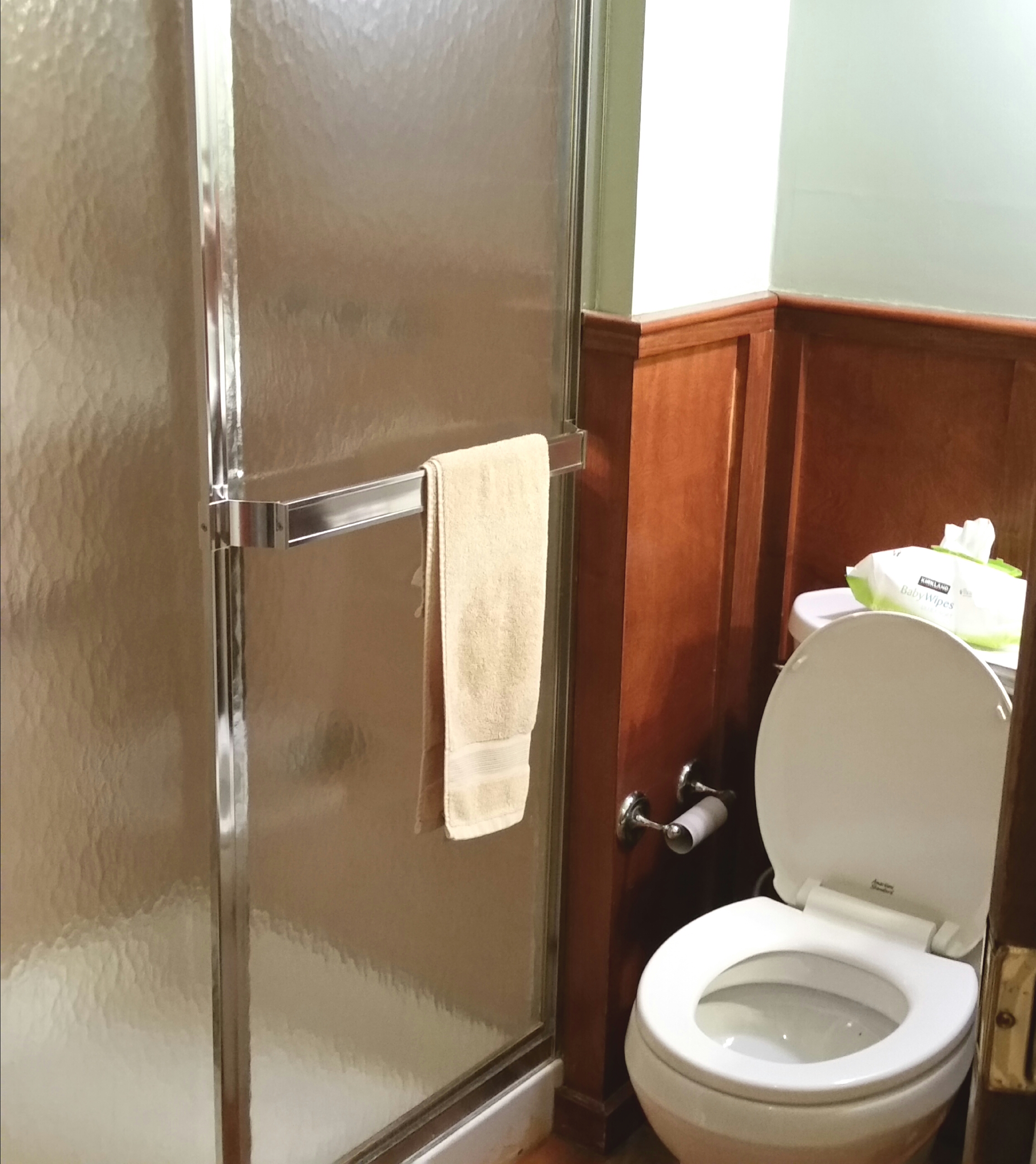 Bathroom Renovation Before