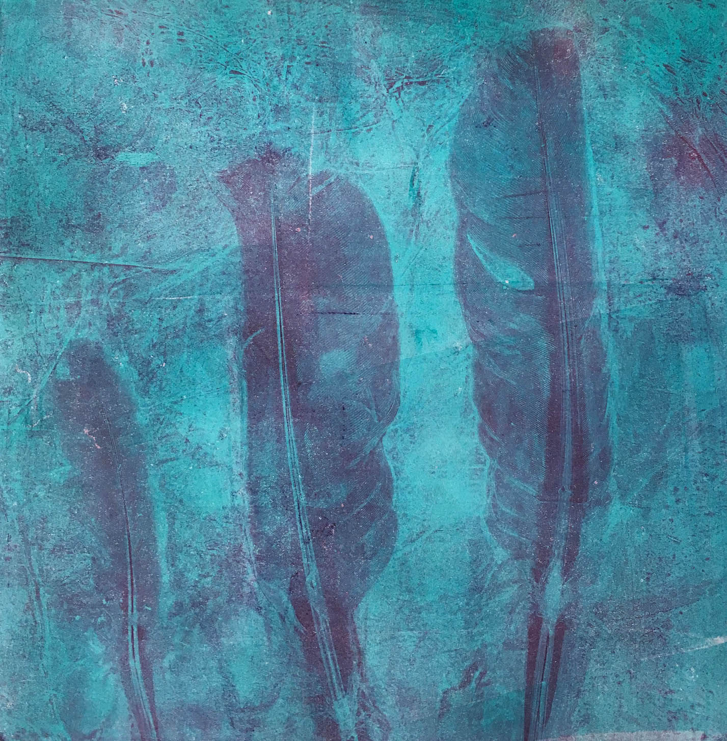 Feathers on Turquoise