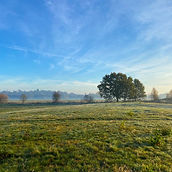 Bungay%20Common%20Nov%2020-28_edited.jpg