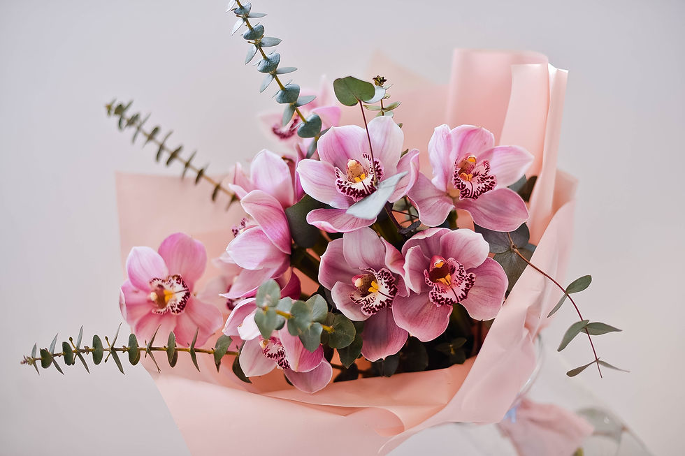 Миниатюра: Орхидеи в эвкалипте