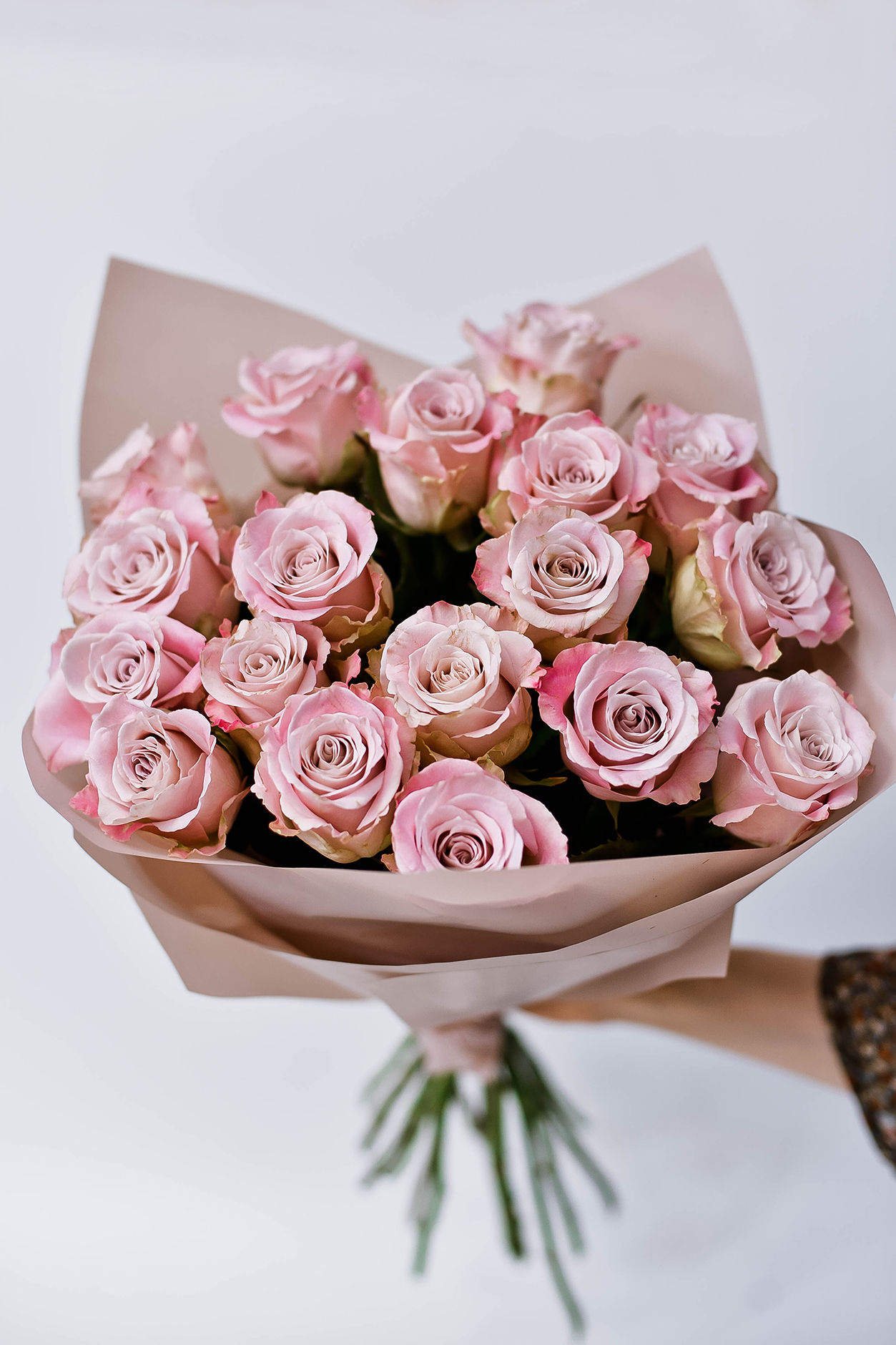 Розы пастельных оттенков