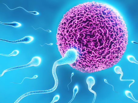 La salud de la mujer en conceptos