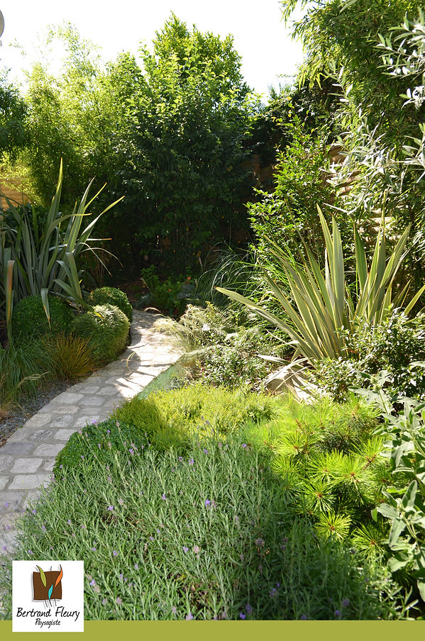 CRÉATION D'UN JARDIN URBAIN, SANS GAZON