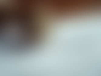 Understanding Mobile Notarization Costs: What You Need to Know