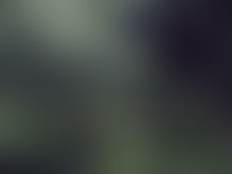 La puissance de la nature capturée par Yasuyuki Takagi. Maison & Objet Janvier 2015