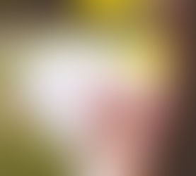 2026 Bible Reading Plan