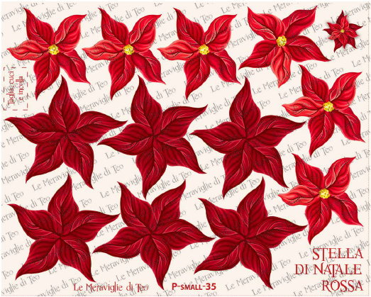 Miniatura: PANNELLO STAMPATO PANNOLENCI CM 20x25 "STELLA DI NATALE"