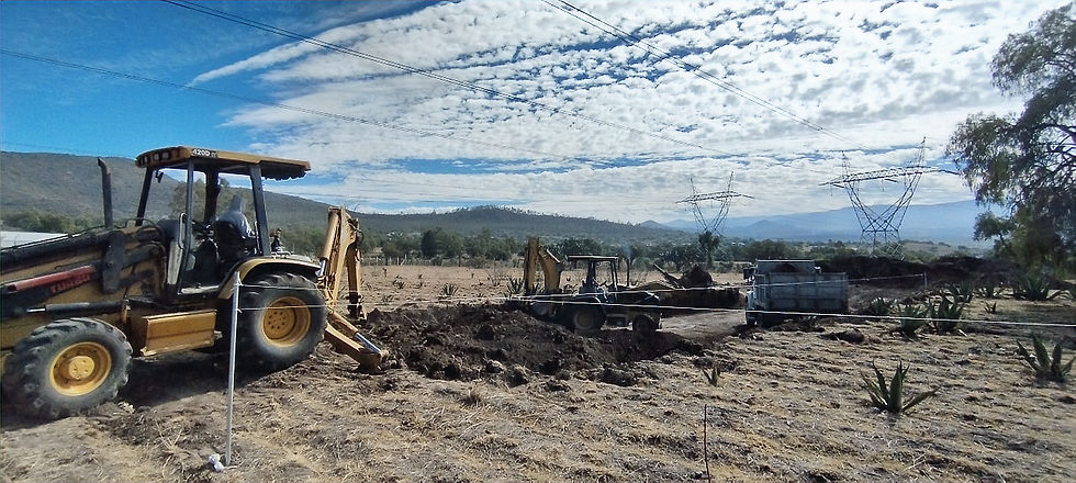 WhatsApp Image 2025-02-12 at 11.53_edited