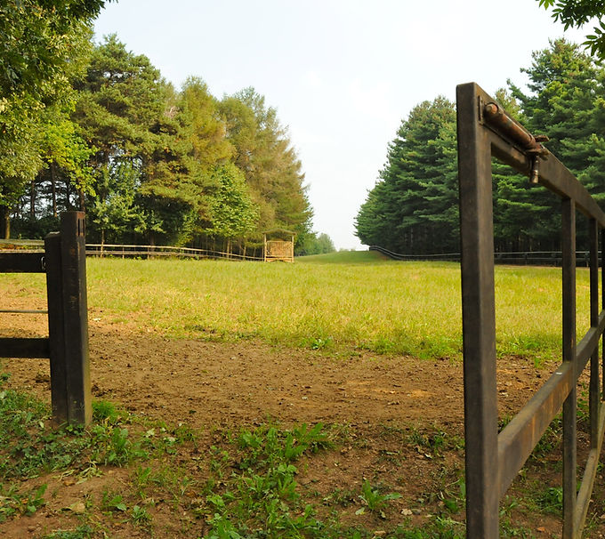 foto cancello da cambiare.JPG