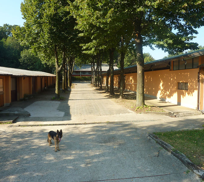 6 esterno scuderia.JPG