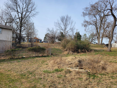 Land Clearing near Fayetteville AR Cost Estimate: What You Need to Know