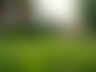 Transforming Overgrown Properties in Washington County AR: A Guide for Elkins, Fayetteville, Springdale, Beaver Lake, Lowell, and Rogers