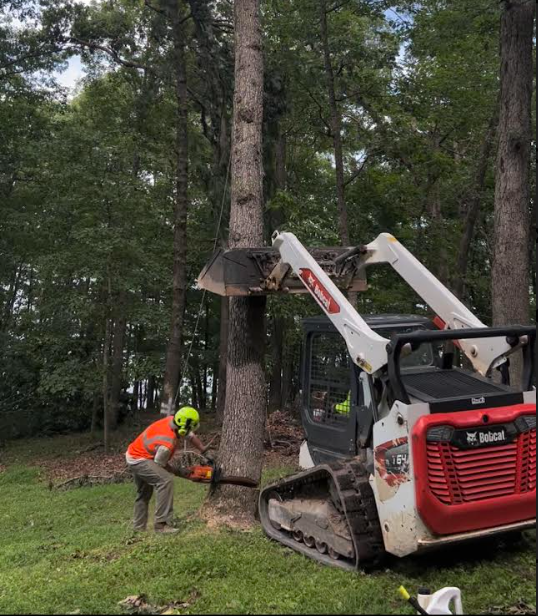 Screen Shot 2024-08-02 at 1.20.29 PM.png