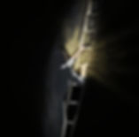 Annotation 2021-11-04 161817