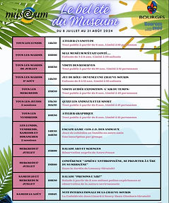 Programme d'été au Muséum de Bourges