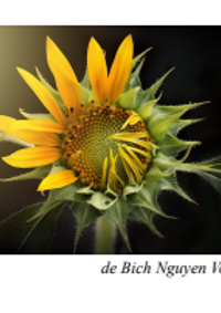 Un peu, beaucoup, à la folie...