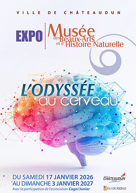 L'Odyssée du cerveau