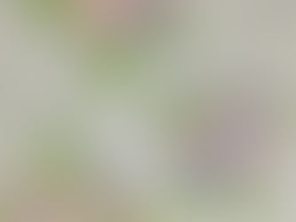挨拶・返事・言葉づかい