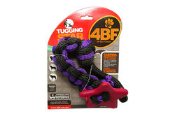 12304112_525456774279769_3071750635614817917_o