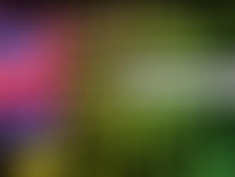 Review: Bars Behind Bars - An Old-Fashioned Lesbian Love Story