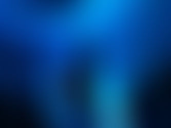 A Whale’s Call in an Empty Room