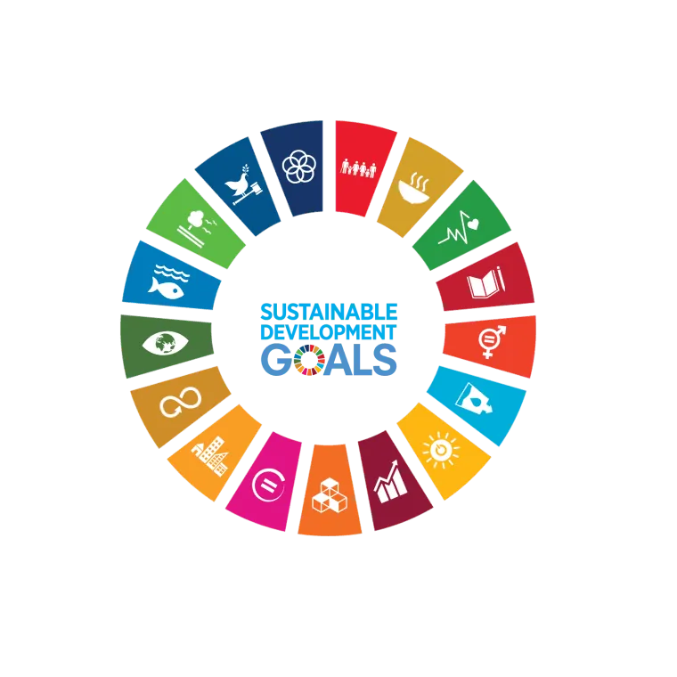 sdg_-_wheel_-_smaller_2.webp