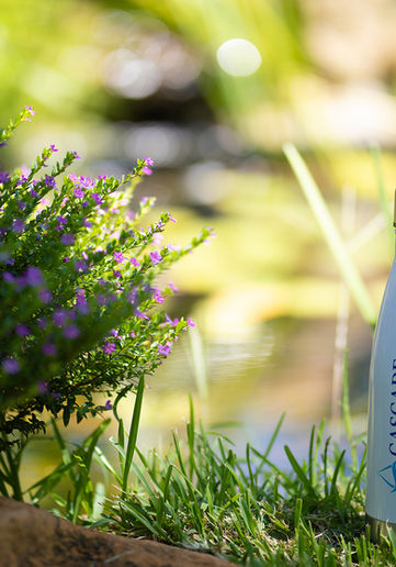 CASCADE PURE WATER-2.jpg